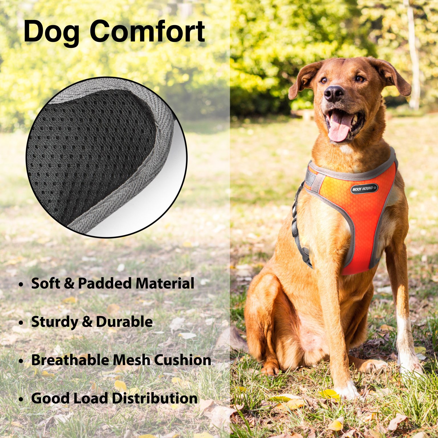 Inforgraphic 2 Orange