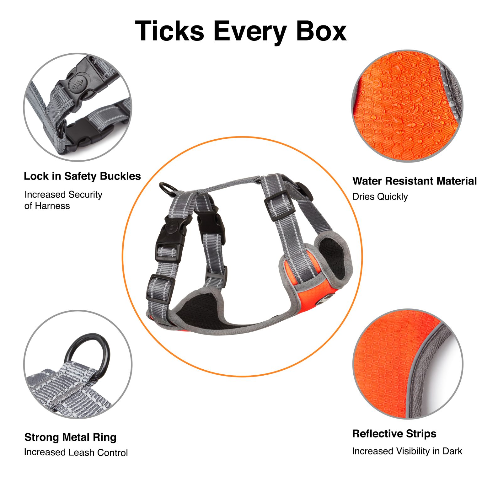 inforgraphic 1 orange